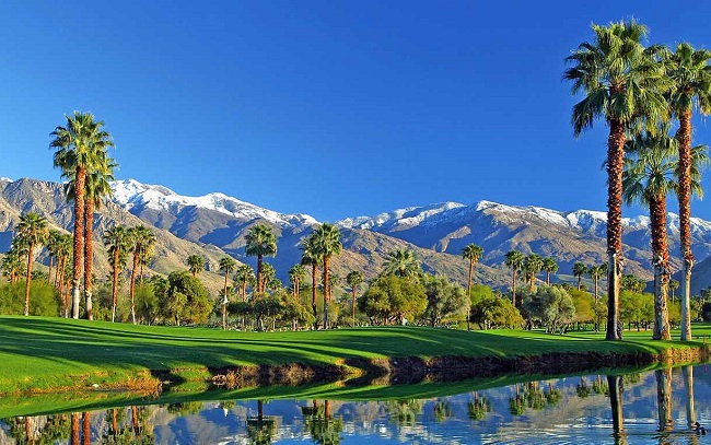 Things to do in Palm spring