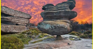 Brimham Rocks