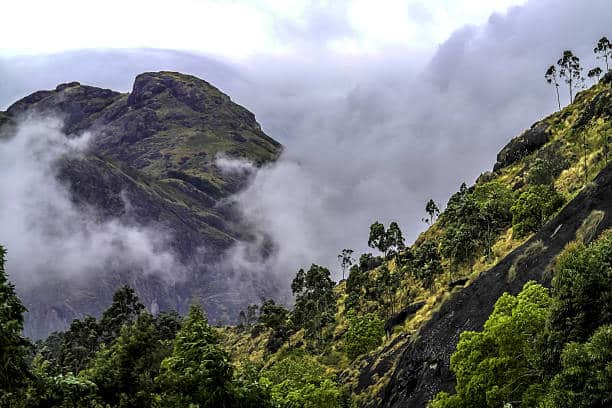 Attapadi Hills Kerala