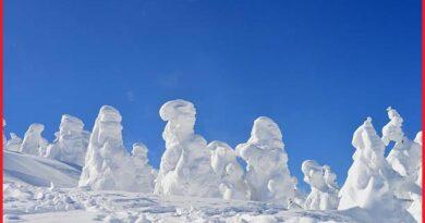 Snow Monsters Mount Zao