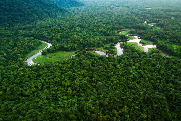 Amazon river