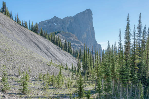 Burgess shale