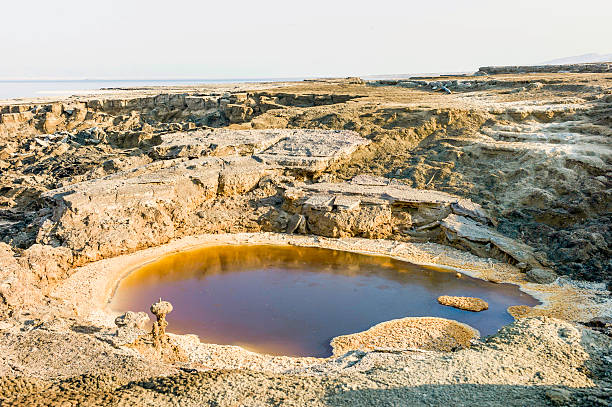 Dead sea sinkholes