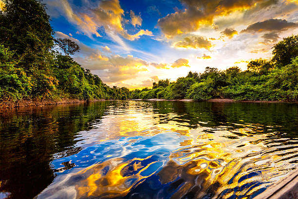 Amazon river