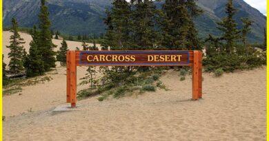 Carcross Desert Canada