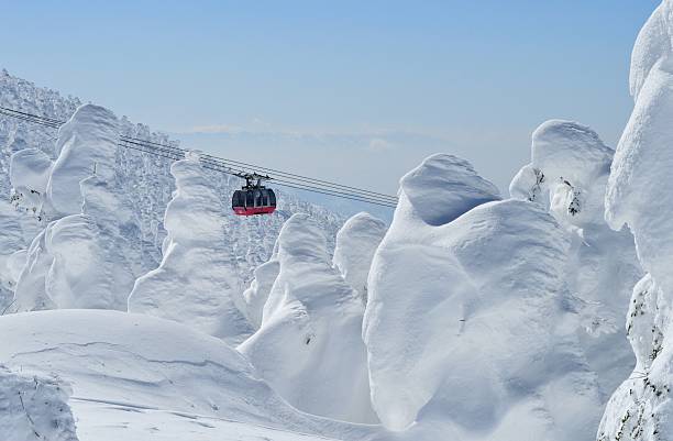 Snow Monsters Mount Zao