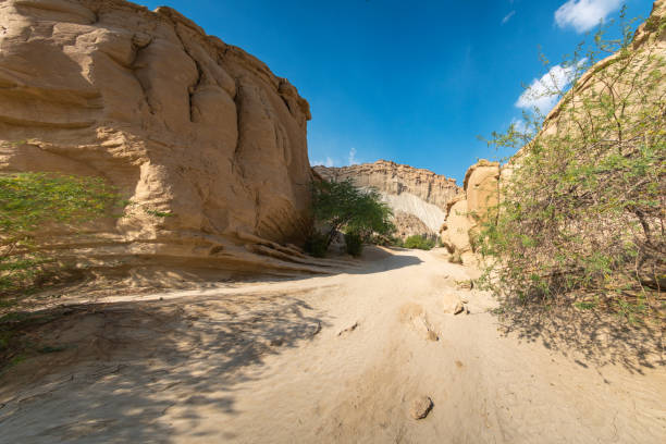 Qeshm Island Iran