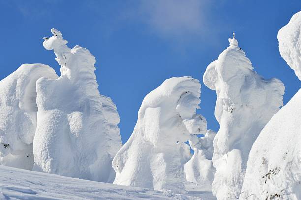 Snow Monsters Mount Zao