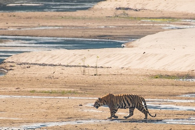 Parsili Resort Sidhi