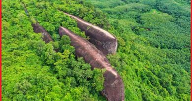 Three whale Rock Thailand