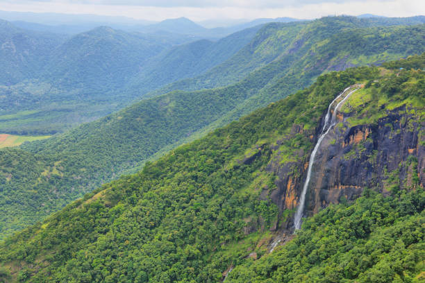 Thekkady Kerala