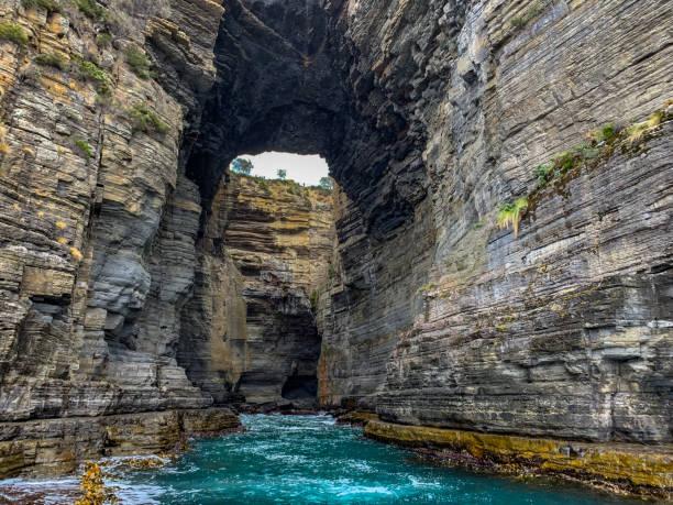  Tasman Arch