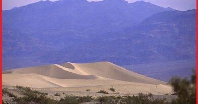 Kelso dunes California