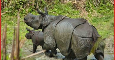 Jaldapara national park