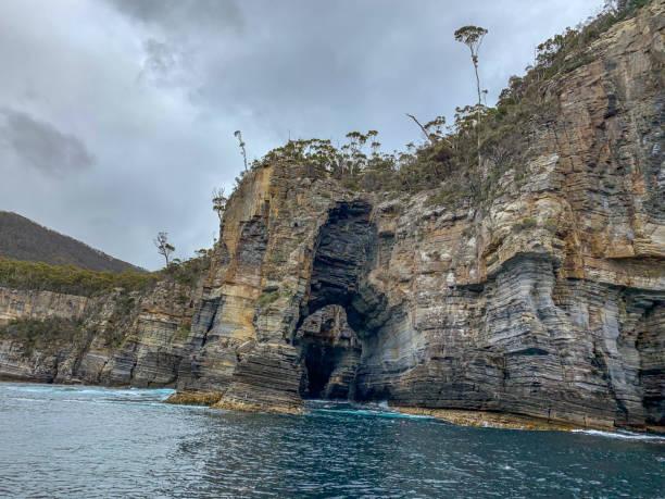  Tasman Arch