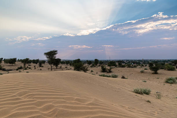 Desert National Park