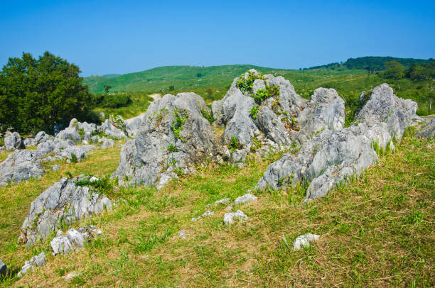 Akiyoshidai plateau