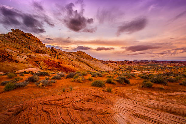 Red rock canyon