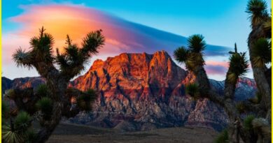 Red rock canyon