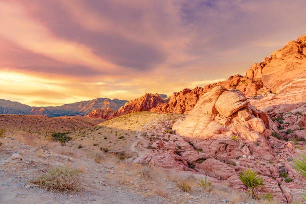 Red rock canyon