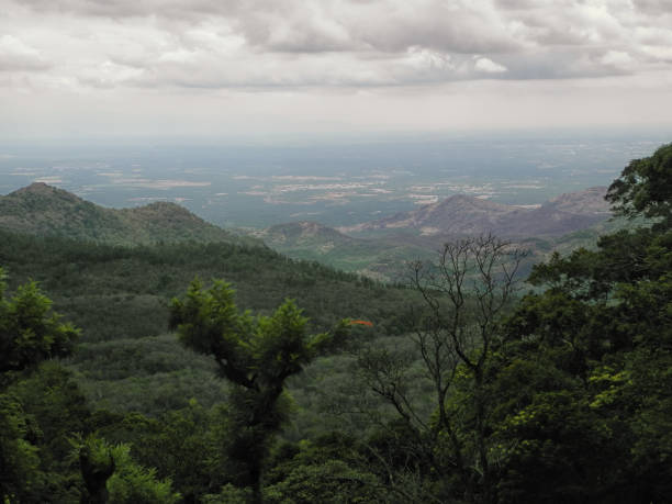 Valparai