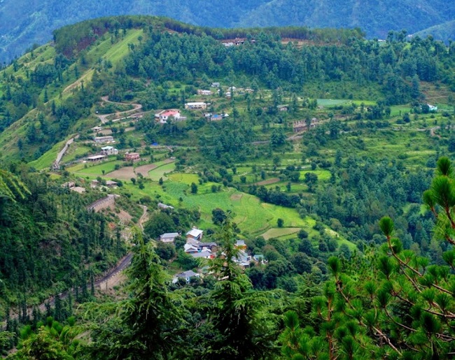 Naldehra Shimla