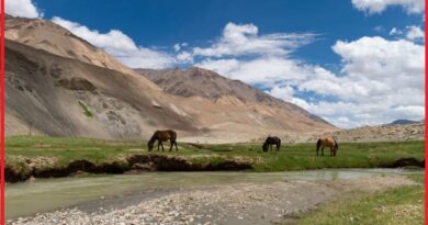 Chumathang Ladakh