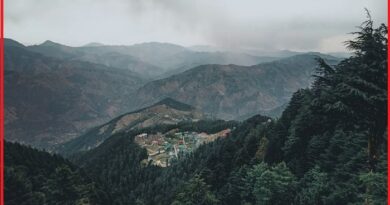 Fagu Shimla
