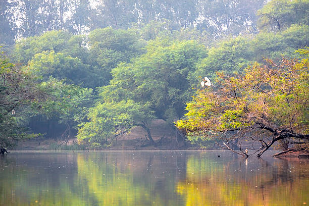 Sultanpur Bird Sanctuary