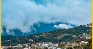 Ziro Valley