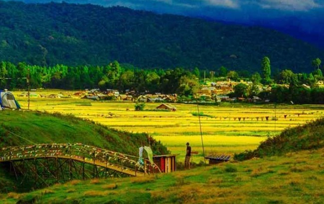 Ziro Valley