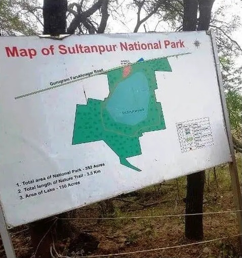 Sultanpur national park