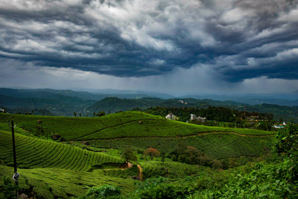 Munnar resorts