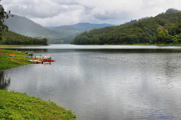 Munnar resorts