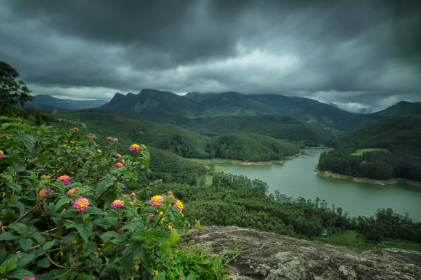 Munnar resorts