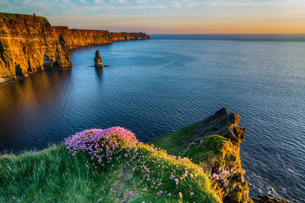 cliffs of moher tour