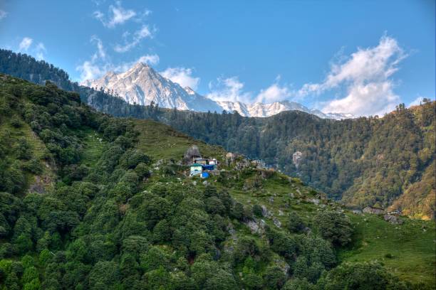 Triund Trek