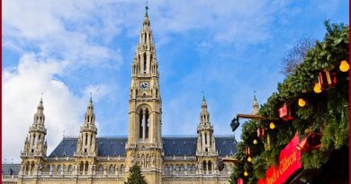 Things To Do in Vienna