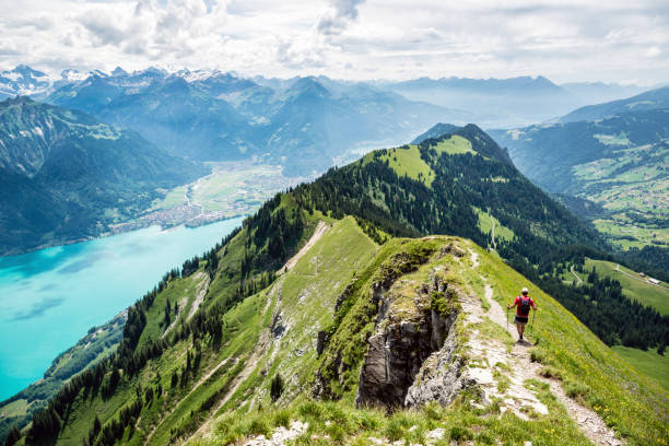 Unforgettable Experiences in Interlaken: Activities and Attractions ...