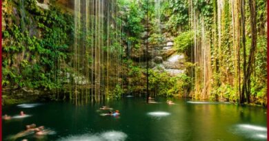 cenotes of mexico