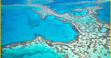 The Great Barrier Reef