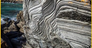 Zebra Schist