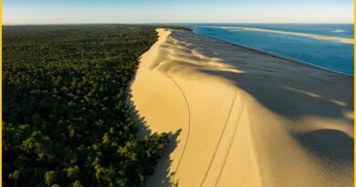 Dune of Pilat