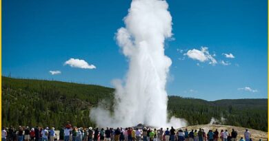 Old Faithful