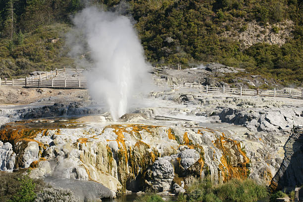 Pohutu Geyser