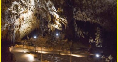 Skocjan Caves