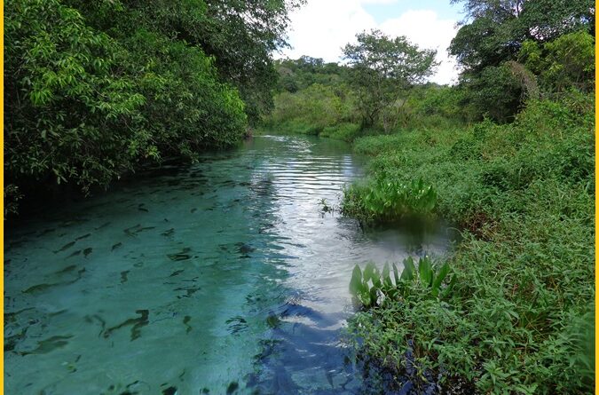 The Sucuriú River