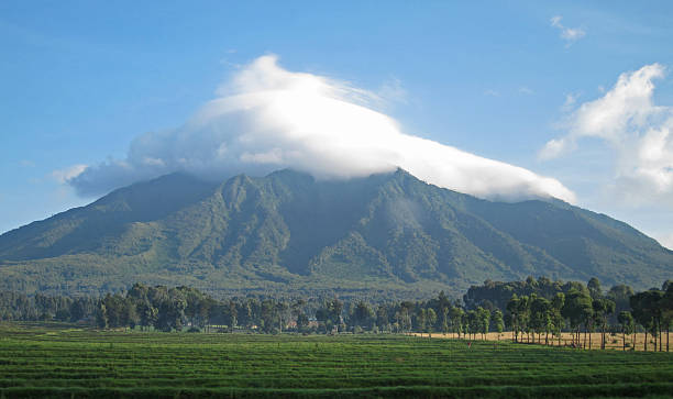 Volcanoes National Park, Rwanda