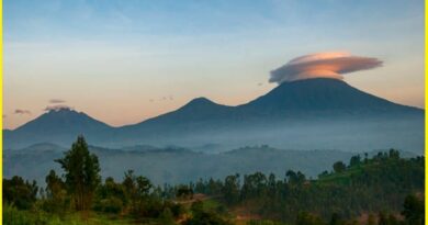 Volcanoes National Park, Rwanda