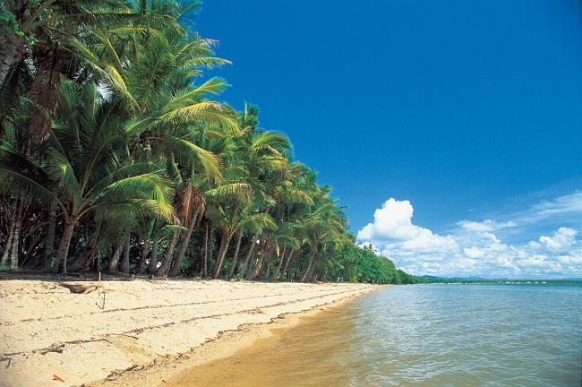 wet tropics of queensland